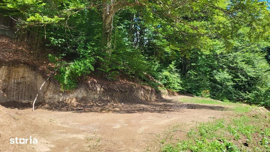Teren de 1570 mp, în Măneciu