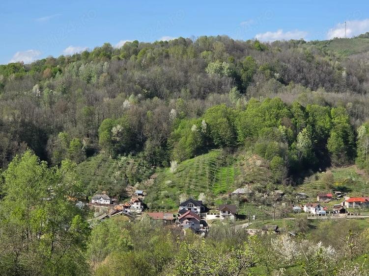 Teren de 6788 mp, în Gura Bărbulețului