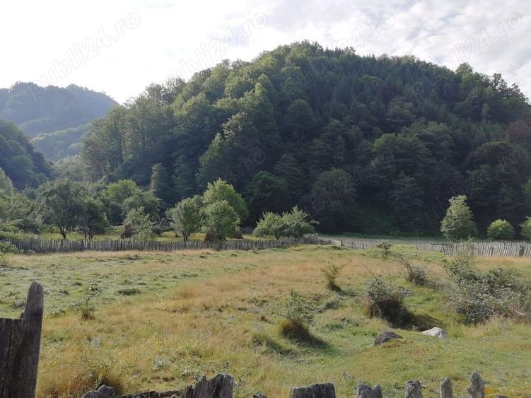 Teren de 2646 mp, în Central