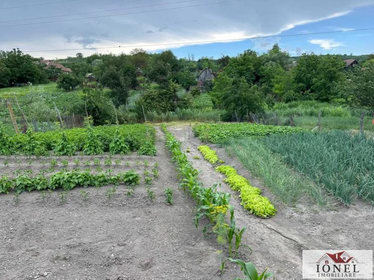 Casă individuală cu 3 camere cu Teren 1100 Mp în Henig