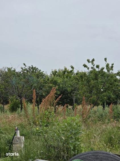 Teren de 2500 mp, în Robănești