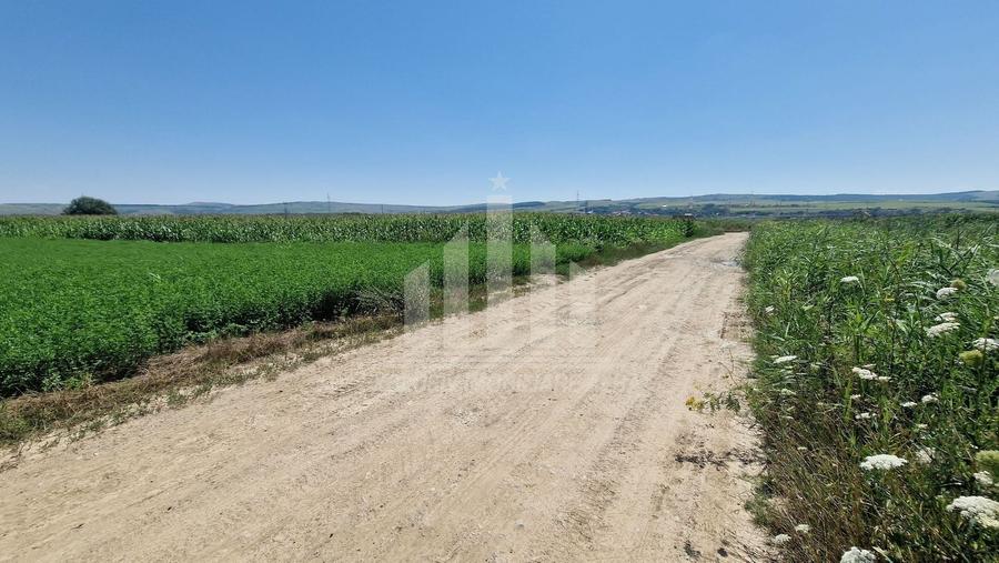 Teren Construcții intravilan de 17300 mp, în Sud