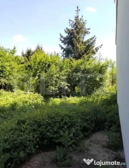 Casa de vanzare, 80 mp, teren 370 mp, Gheorgheni - 3