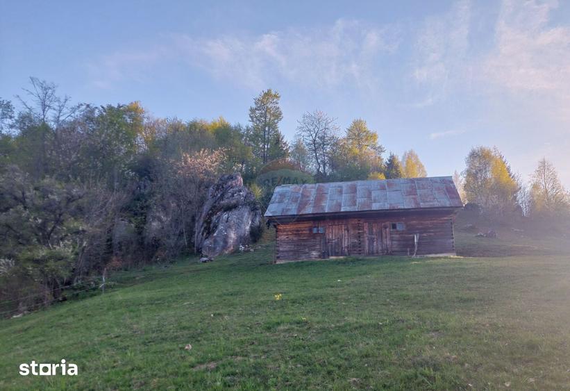 Teren de 11048 mp, în Moieciu
