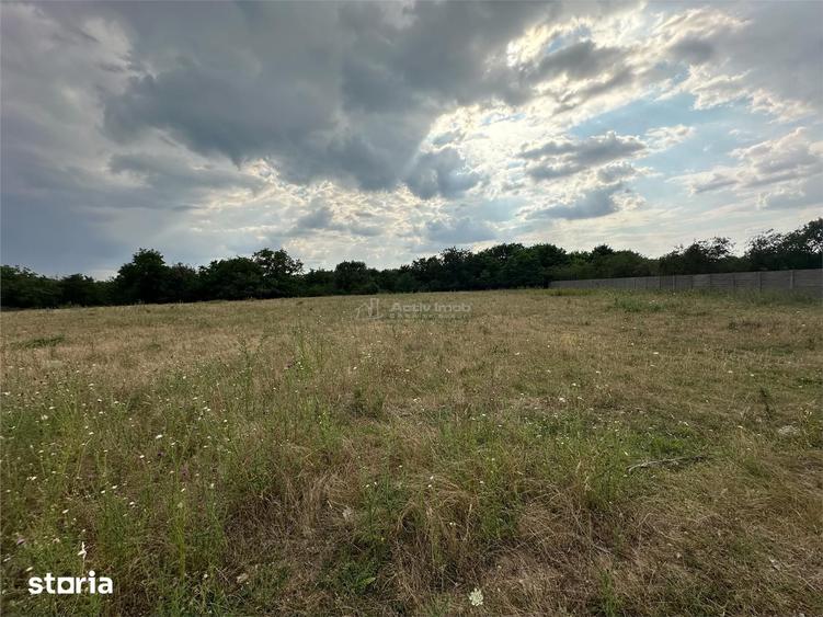 Spațiu comercial, de 8,500 mp, în Central