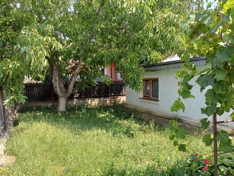 Teren de 1555 mp, în Central