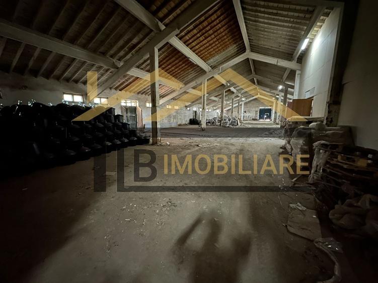 Spațiu industrial, de 1,061 mp, în Dumbrăvioara