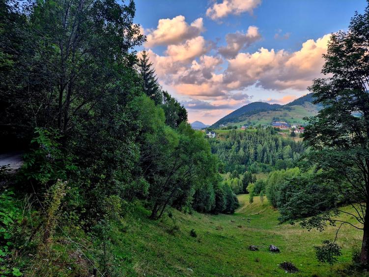 Teren agricol extravilan de 8635 mp, în Peștera