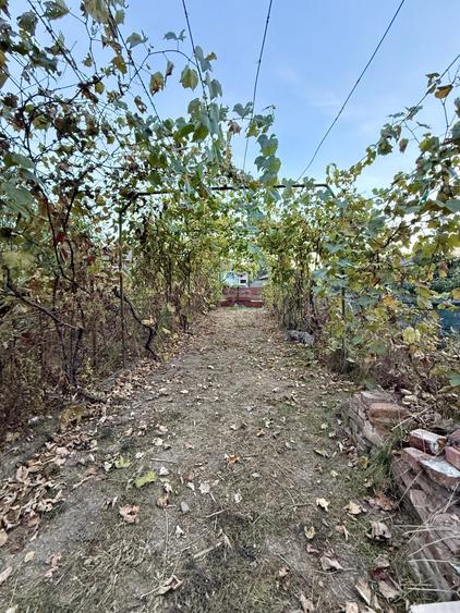 Casă individuală cu 3 camere cu Teren 3000 Mp în Gruiu