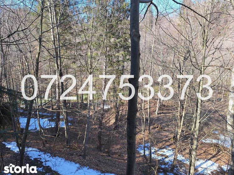 Cabana intravilan, teren 527mp, padure ?i rau, Valea Popii, Maneciu - 5