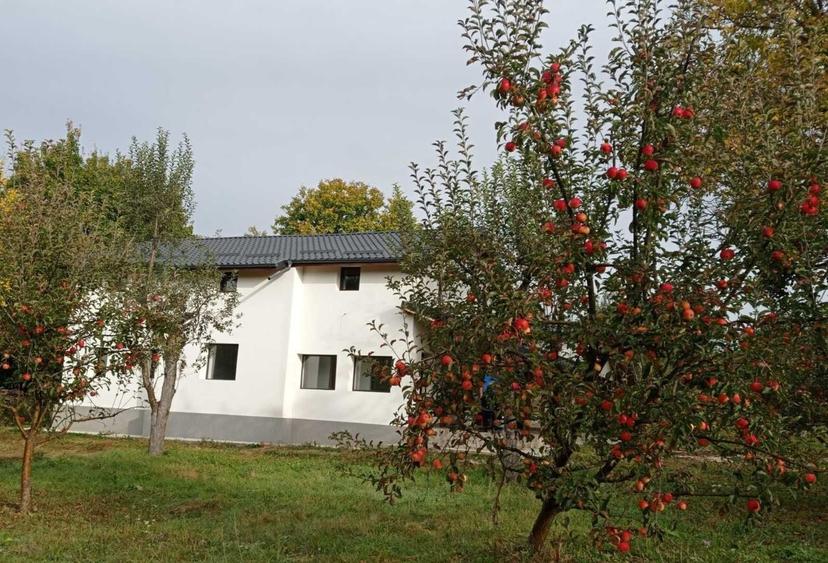 Casă cu 4 camere în Lăicăi