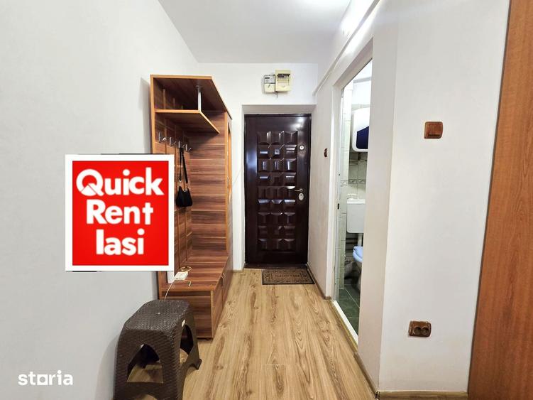 Alexandru Cel Bun - Garsoniera De Inchiriat Mobilata 250eur - 8