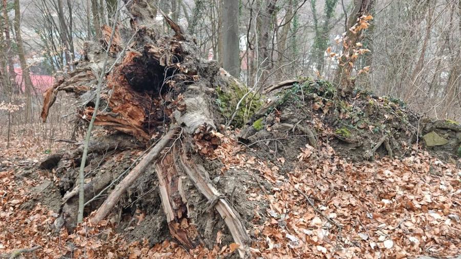 Teren de 1400 mp, în Căciulata