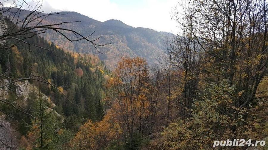 Teren de 1000 mp, în Moroeni