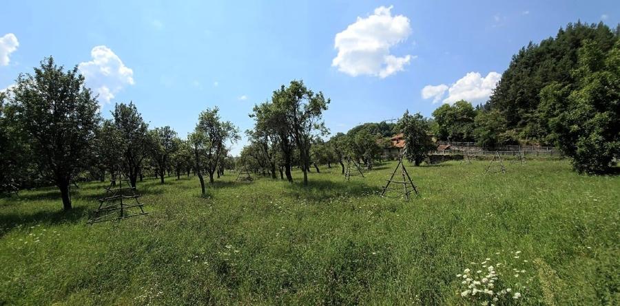 Teren intravilan de 8000 mp, în Arefu