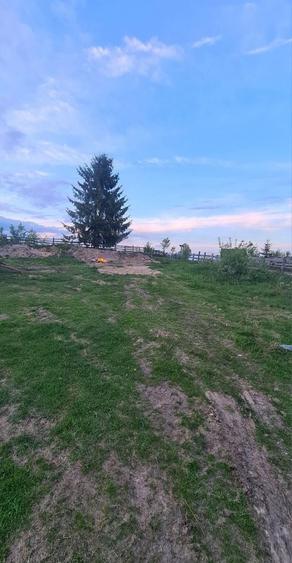 Teren de 1700 mp, în Mărișel