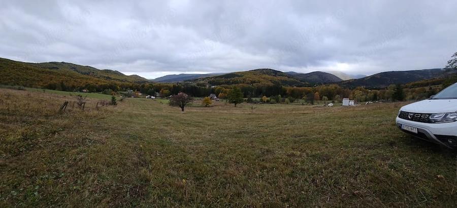 Teren de 3100 mp, în Trăisteni