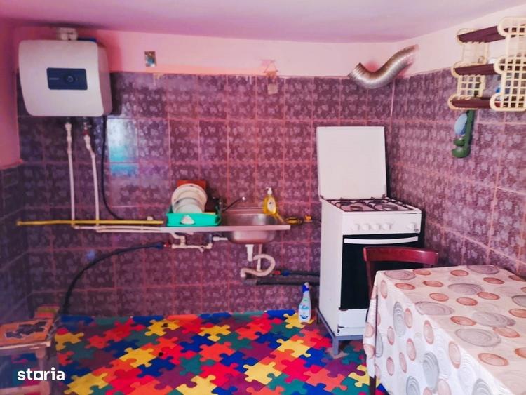 Casă cu 3 camere cu Teren 4302 Mp în Pleșoiu