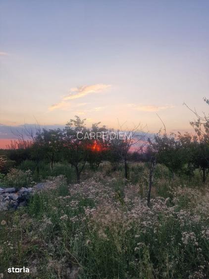 TEREN INTRAVILAN DE VANZARE ROBANE?TI, DOLJ | 5.000 MP