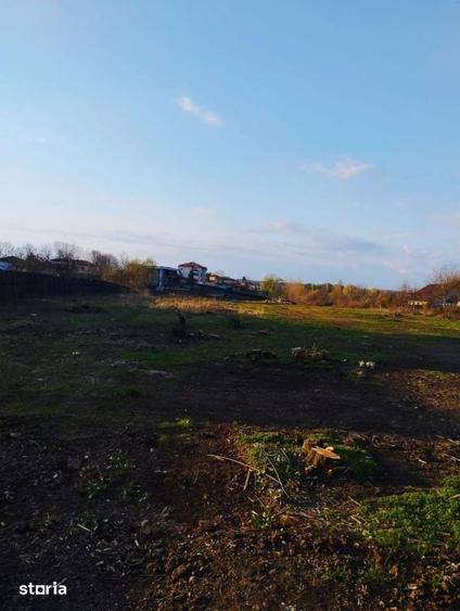 Teren de 4236 mp, în Snagov