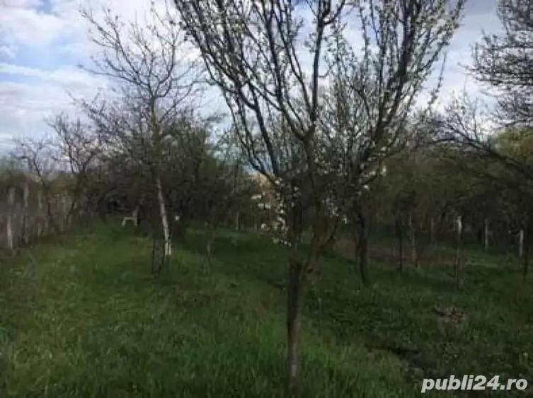 Teren de 1100 mp, în Central