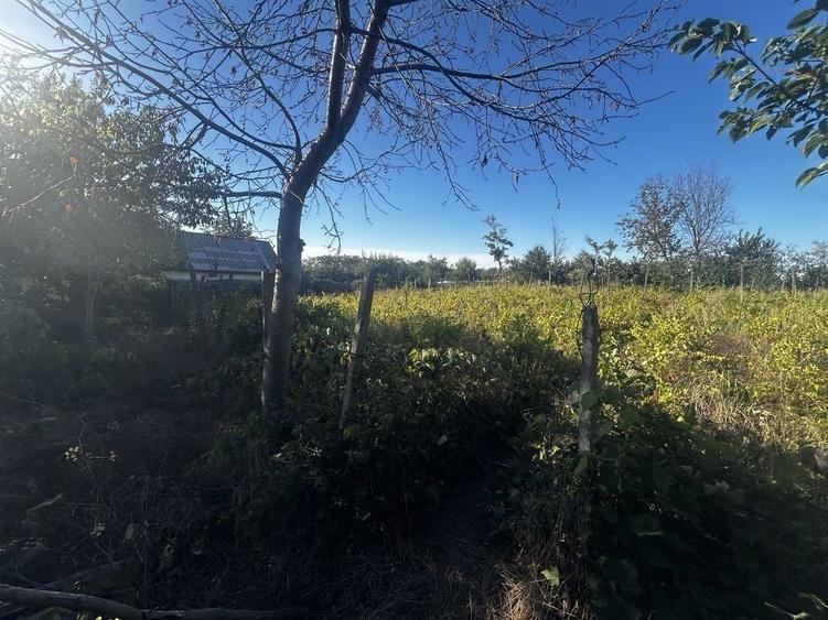 Casă cu 2 camere în Cuca