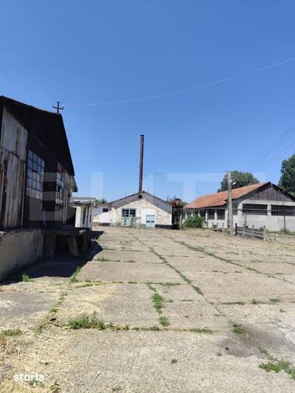 Teren de 32000 mp, în Stoicănești