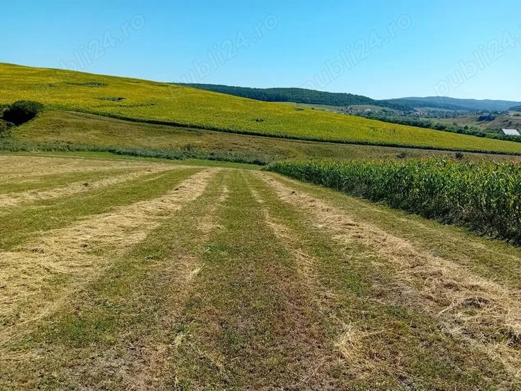 Teren în Central
