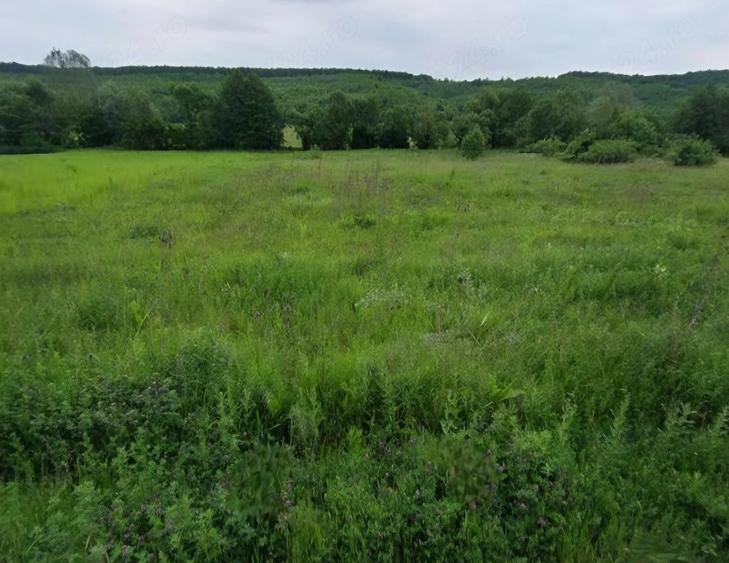 Teren de 3000 mp, în Butoiu de Sus