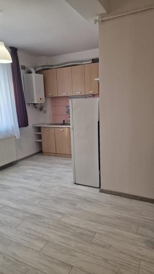 Apartament cu 2 camere semidecomandat în Dosu Bricii