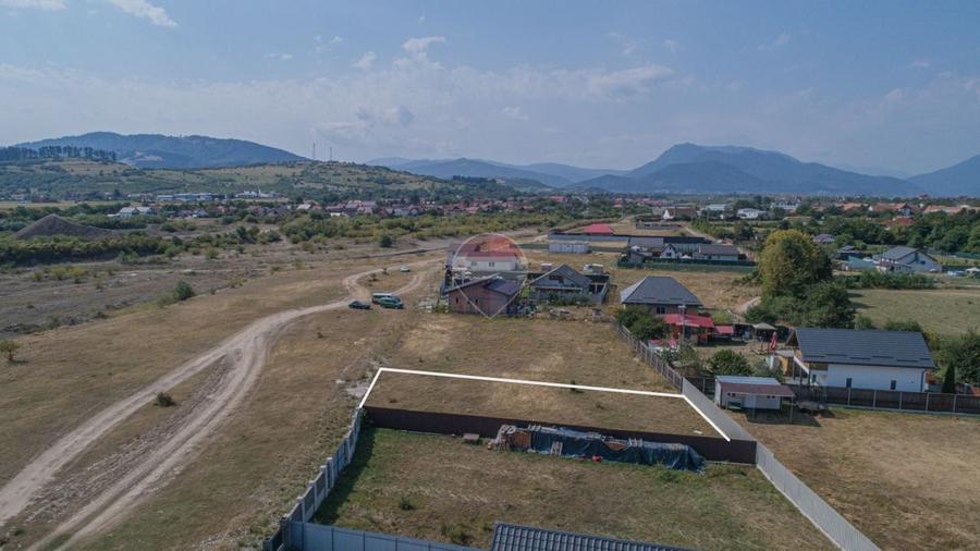 Teren Construcții intravilan de 600 mp, în Cărpiniș