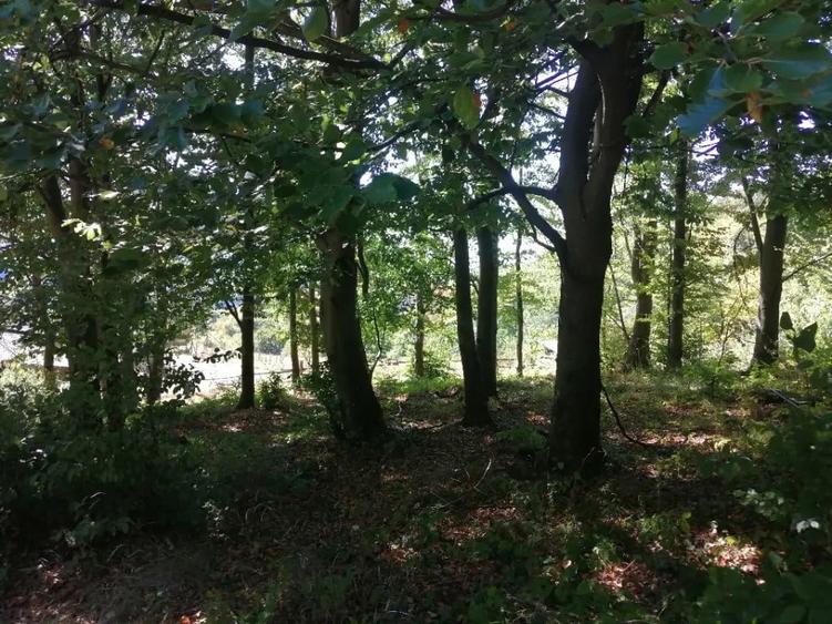 Teren de 4100 mp, în Central