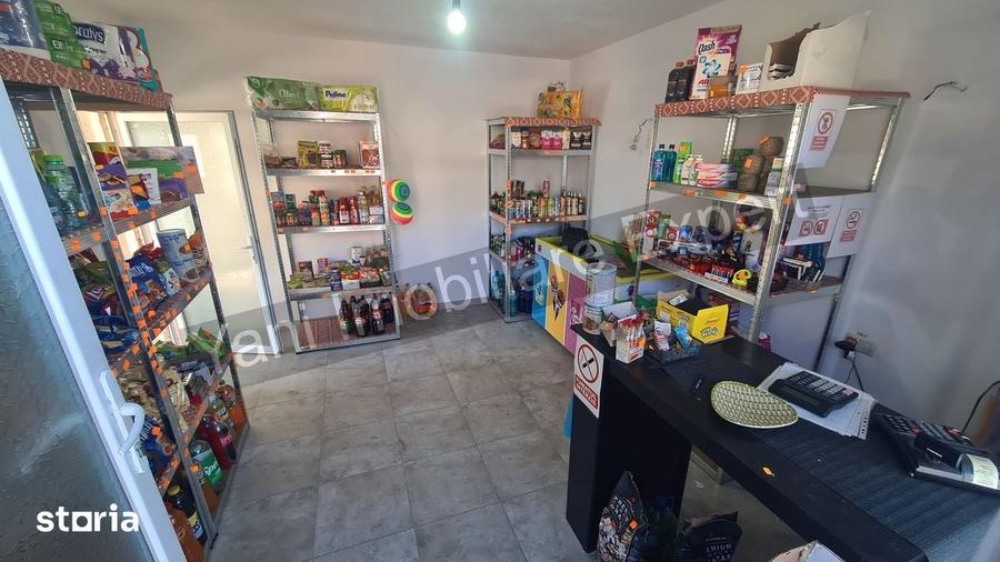 Casă cu 3 camere cu Teren 3877 Mp în Valea Danului