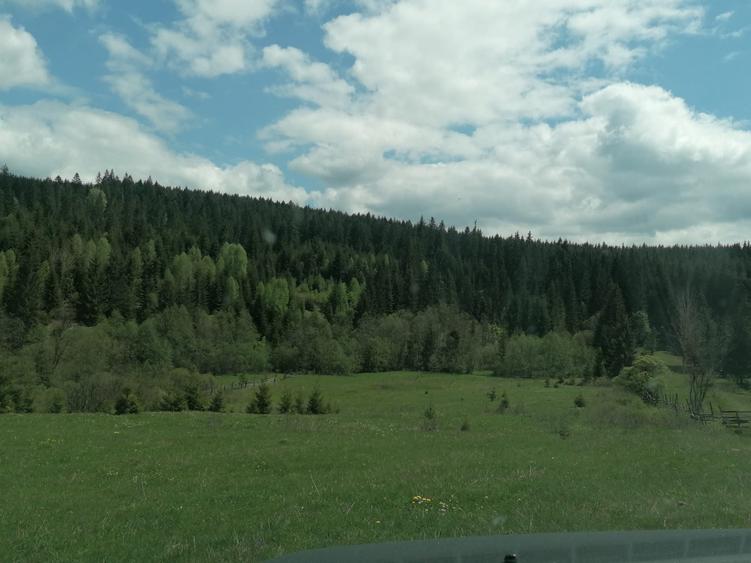 Teren de 45000 mp, în Ortoaia