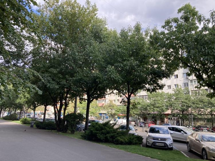 Apartament semidecomandat în Moșilor