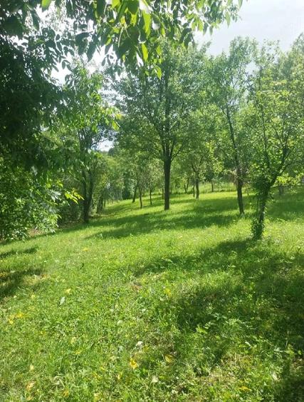 Teren de 1000 mp, în Podul Lung