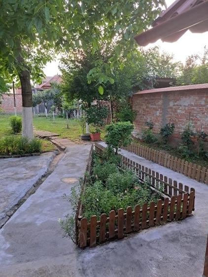 Casă individuală cu 2 camere cu Canalizare în Vasile Aaron