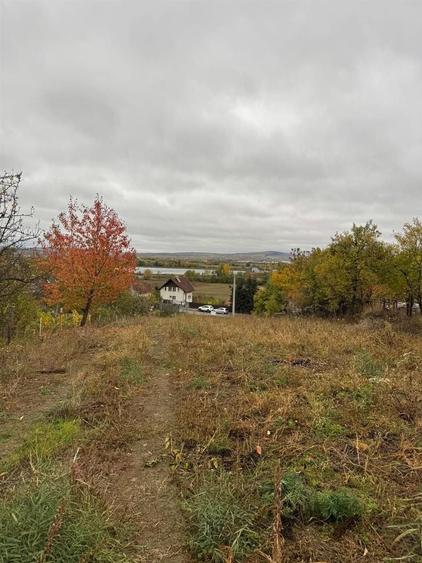 Teren intravilan de 3486 mp, în Podgoria