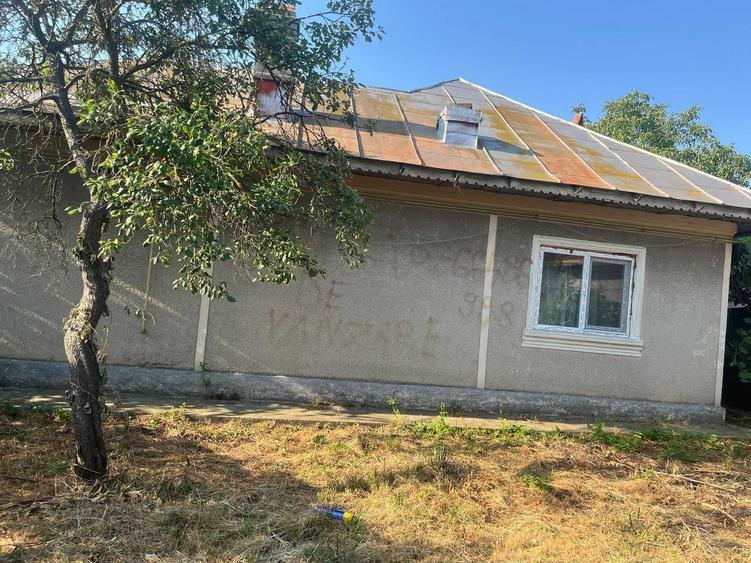 Vand casa batraneasca , Teleorman Rosiorii de Vede teren 575 mp - 4