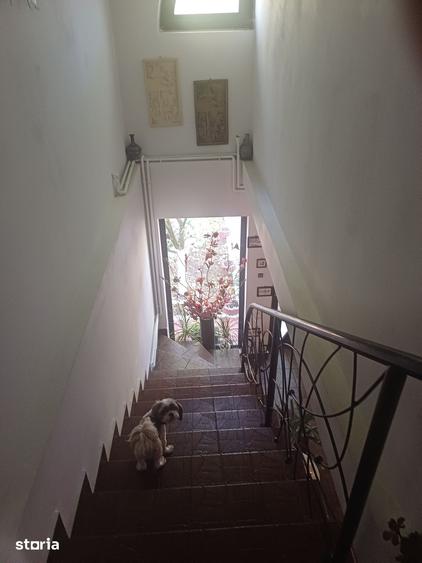 Casă cu 6 camere cu Teren 450 Mp în Cristian