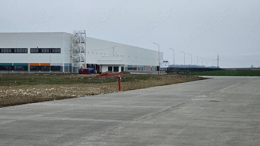 Teren Construcții intravilan de 10000 mp, în Șagului