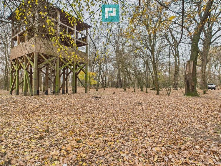 Teren extravilan de 5000 mp, în Periam