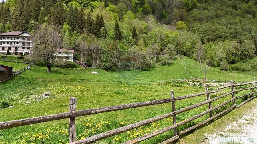 Teren în Sătic