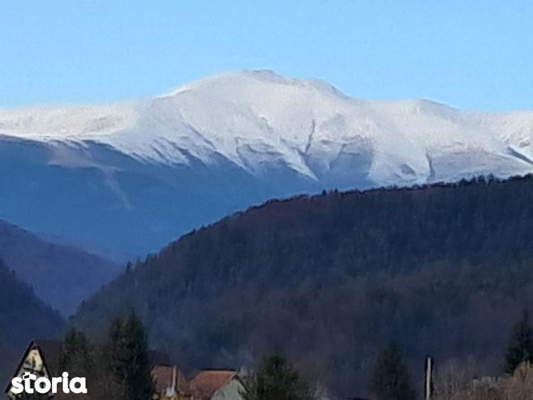 Teren de 1200 mp, în Dâmbovicioara