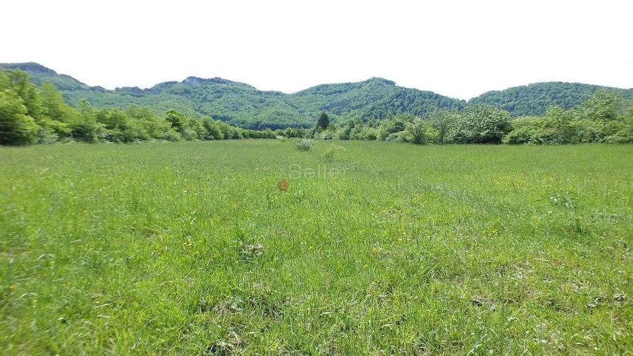 Teren Construcții intravilan de 2900 mp, în Tohănița