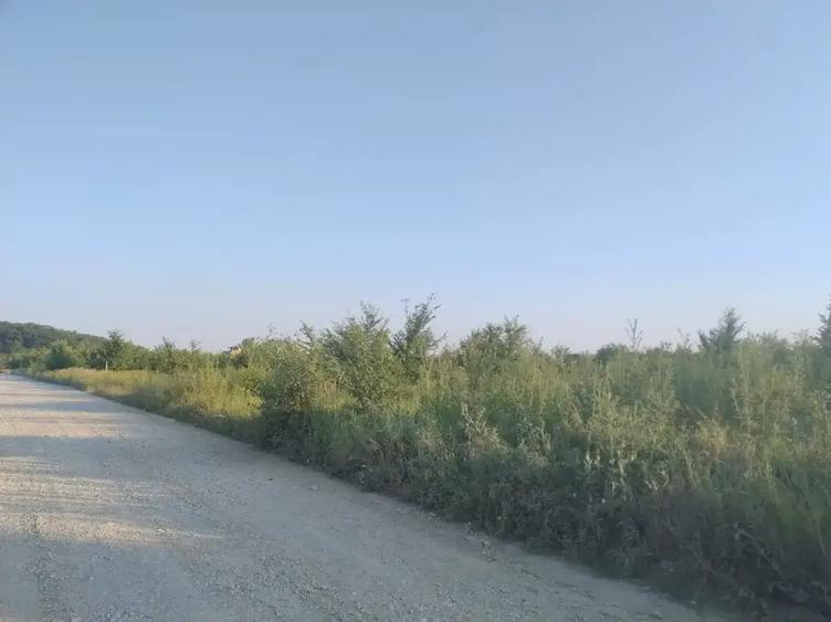 OPORTUNITATE INVESTIȚIE SECTOR 1 | Teren Intravilan 2.200 mp - 5