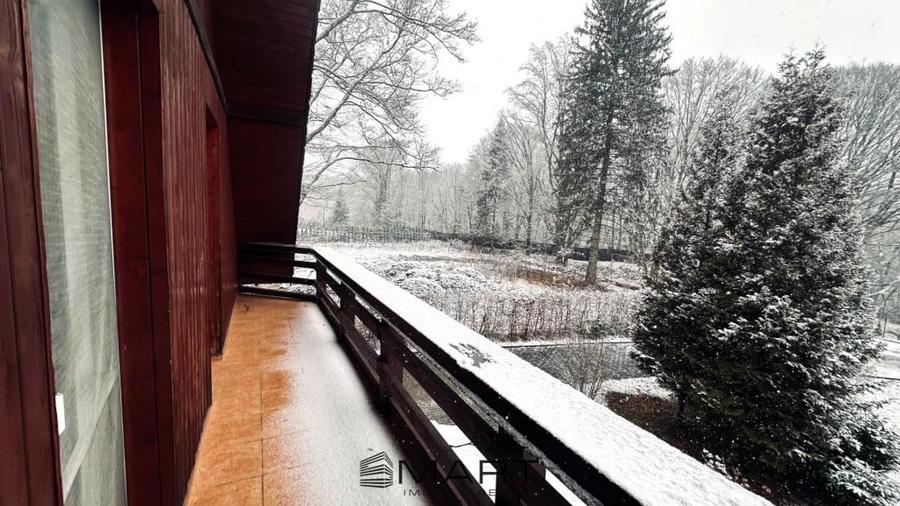 Casa de vacanta cu teren 2000mp Valea Avrigului - 11