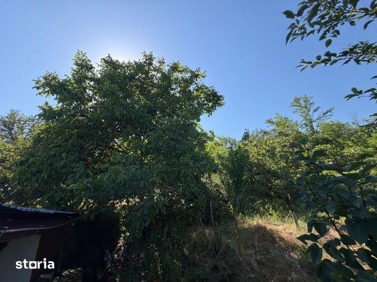 Casă cu 3 camere cu Teren 70 Mp în Murgești