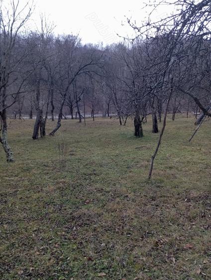 Teren de 2000 mp, în Ocina de Sus