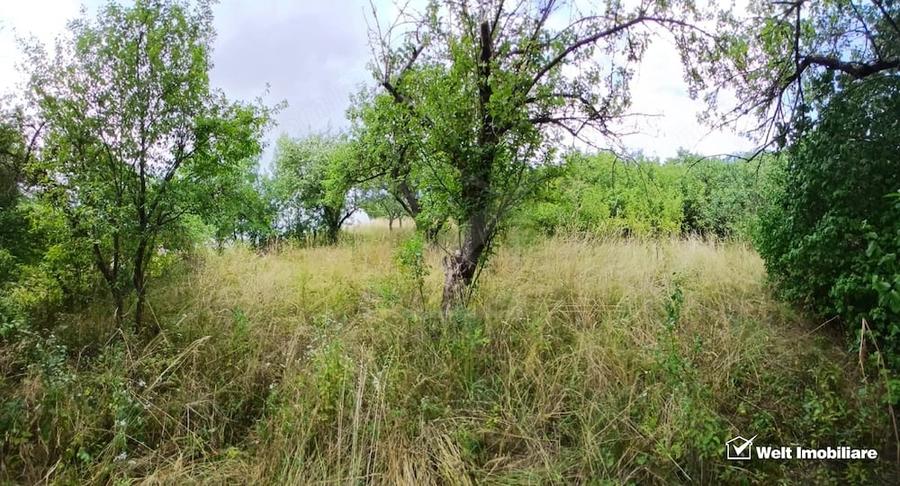 Casă cu 1 camere cu Teren 1315 Mp în Mănăstireni